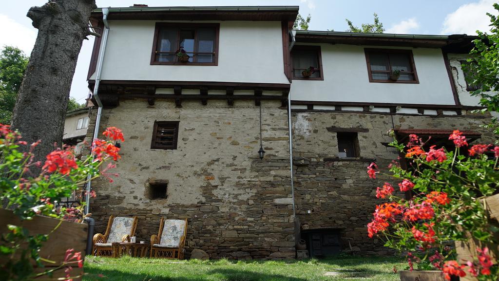 فيلا Pisanata House Dedovo المظهر الخارجي الصورة