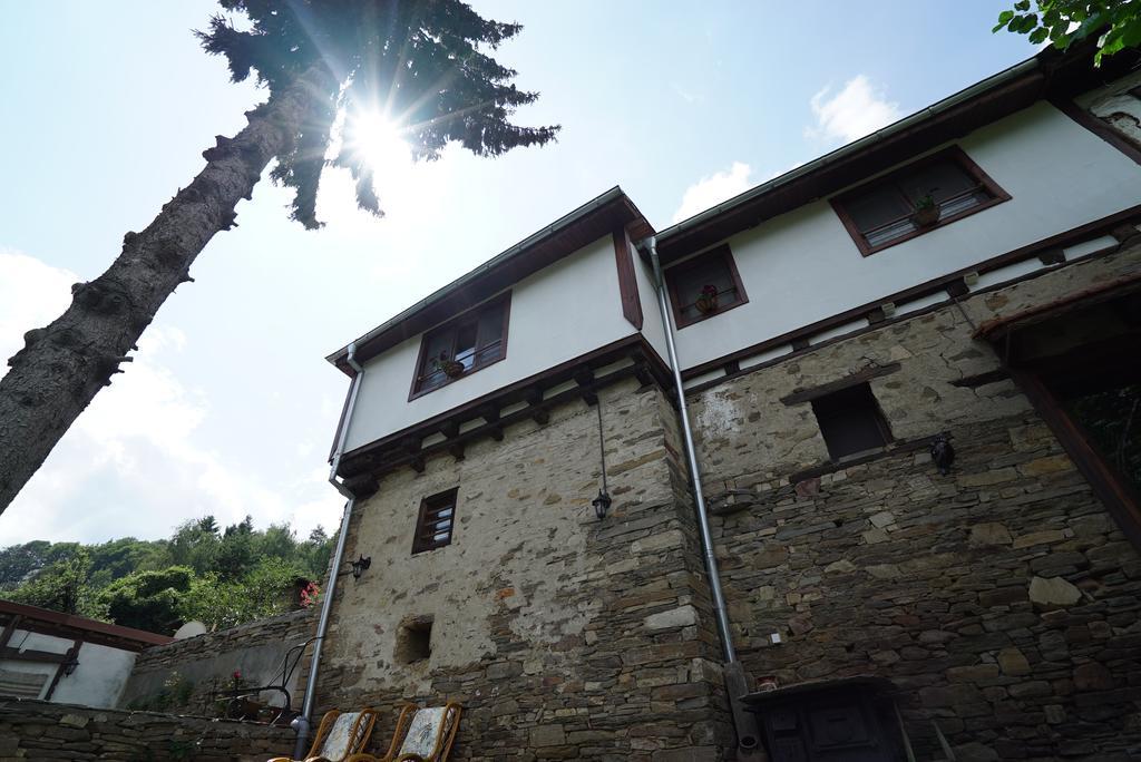 فيلا Pisanata House Dedovo المظهر الخارجي الصورة