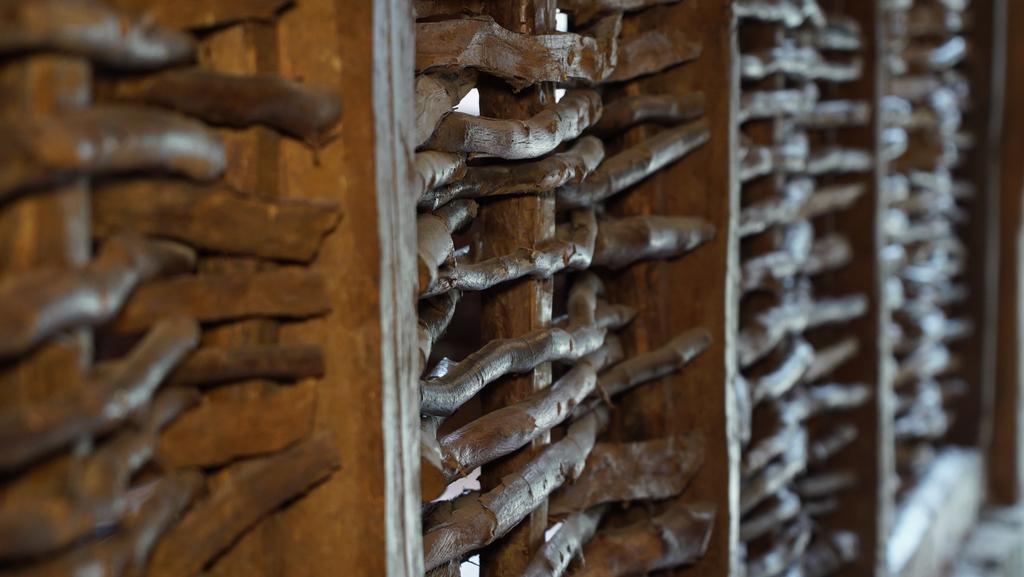 فيلا Pisanata House Dedovo المظهر الخارجي الصورة